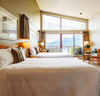 Room 2 Queens beds