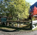 Auberge Ripley Creek - Le poulailler