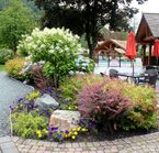 Springs RV Resort - Jardin