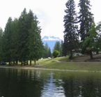 Camping Williamson's Lake