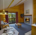 Deluxe Log Chalet for 2