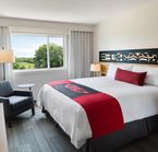 One King Size Bed 