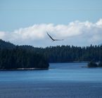 Near the Prince Rupert Prestige Hotel