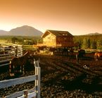 Ranch Echo Valley - Coucher de soleil