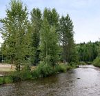 Camping Wells Gray Golf RV park