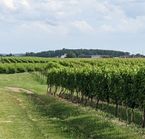 Winery - Harvest Hosts