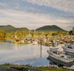 The marina