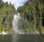 Chute