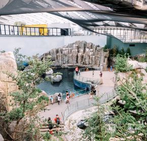Biodome ecosystem