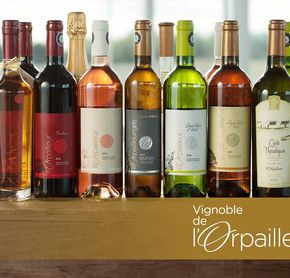 Vignoble de l'Orpailleur
