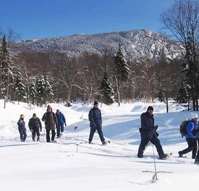 Randonée sentier du Castor