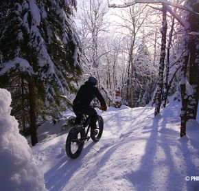 Fat Bike