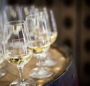 The wines that you will discover