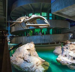 New England Aquarium