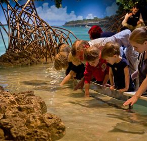 New England Aquarium