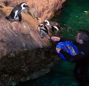 New England Aquarium