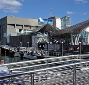 New England Aquarium