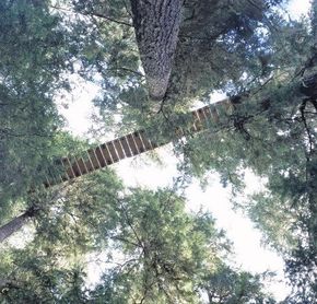 Ziptrek Whistler
