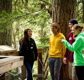 Ziptrek Whistler