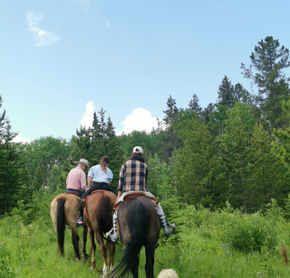 Horseback Tour with a Cowboy