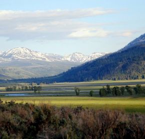 Paysage de Yellowstone