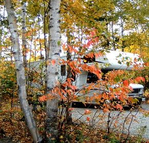 Domaine des dunes en automne