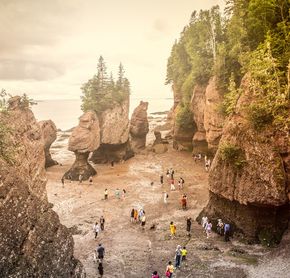 Hopewell Rocks at low tide