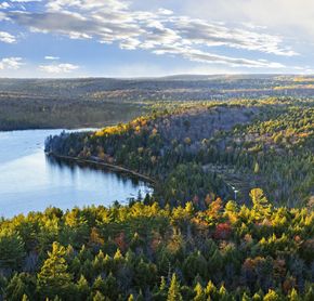 Parc Algonquin, Ontario, Canada