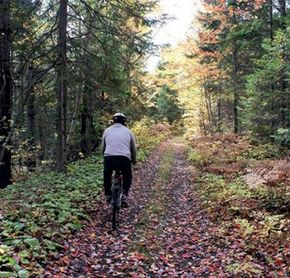 Balade en vélo