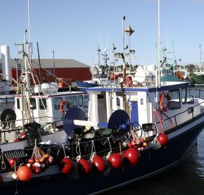 Port de Caraquet, Nouveau-Brunswick