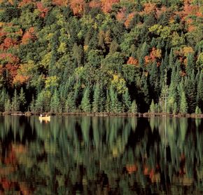 Excursion en canot dans le Parc National d'Oka