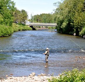 Salmon fishing in the Matapédia River
