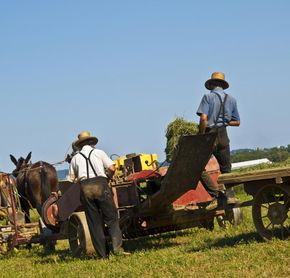 The Amish farmers