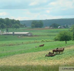 Lancaster Farm
