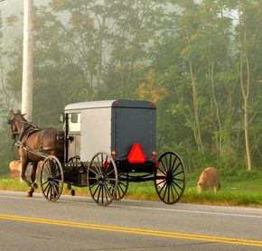 Amish Community