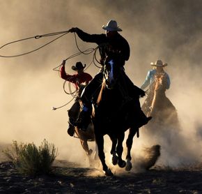 Cowboys on an Ashcroft ranch
