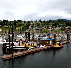 Gibsons