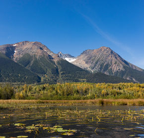 Mont Hudson Bay, Smithers