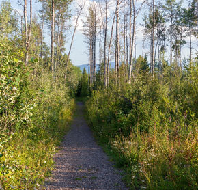 Tyhee Lake Provincial Park