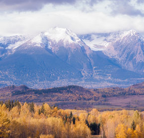 Mont Hudson Bay during fall, Smithers