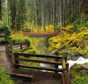 Parc National Olympic