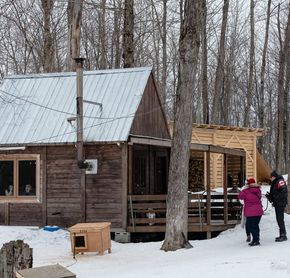 Déjeuner au camp du Musher