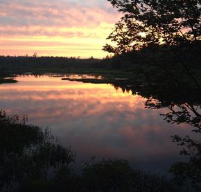 View around the campsite