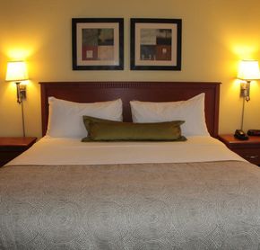1 queen bed