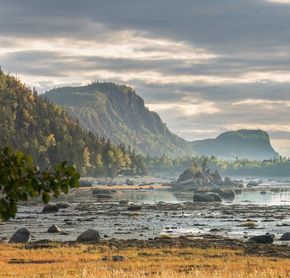 Low tide
