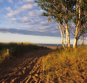 Pointe Taillon Park