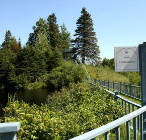 La Tour d'observation