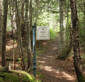 Sentier du Champignon