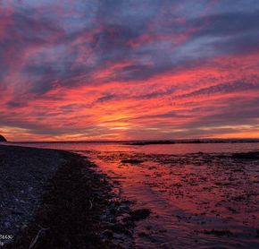 Un coucher de soleil violet