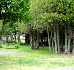 Terrain typique